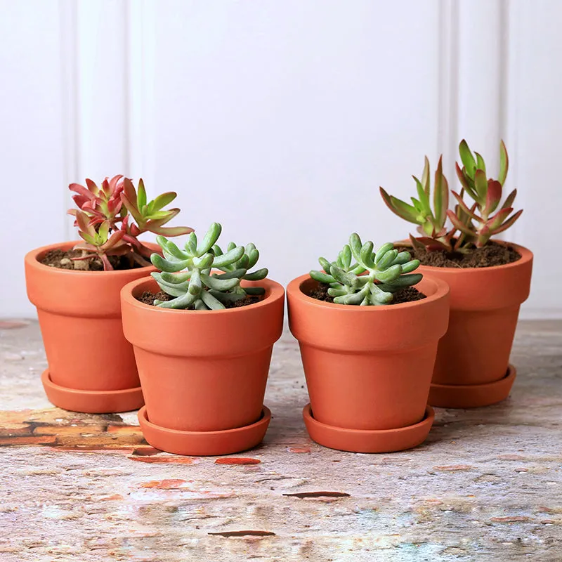 Rusticana Terracotta Planter - Set Of Four media 2
