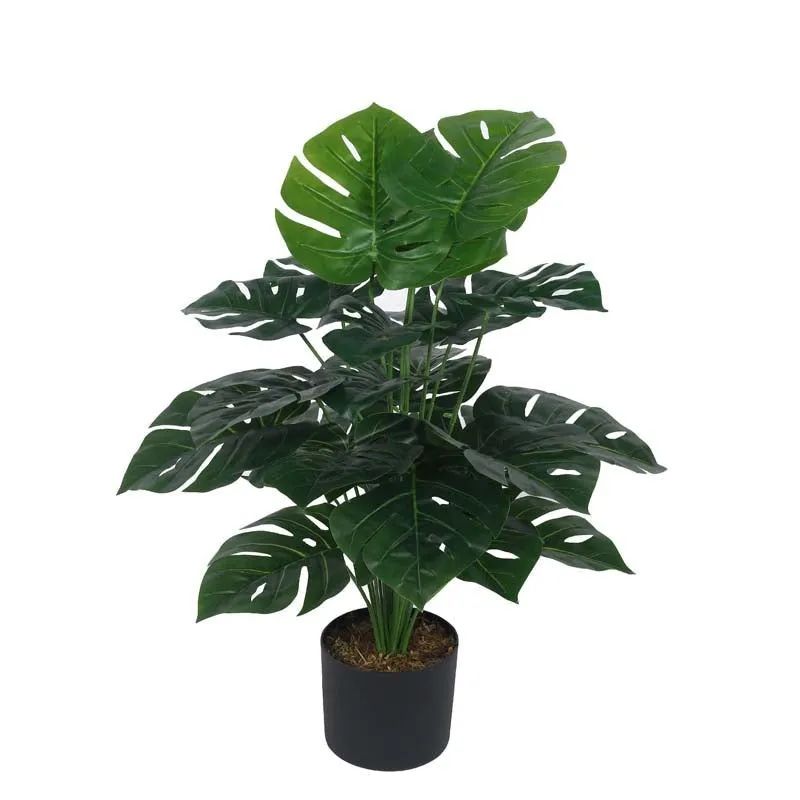 Faux Lush Delisocia Monstera Plant With Black Plastic Pot - 2.6 Feet media 4