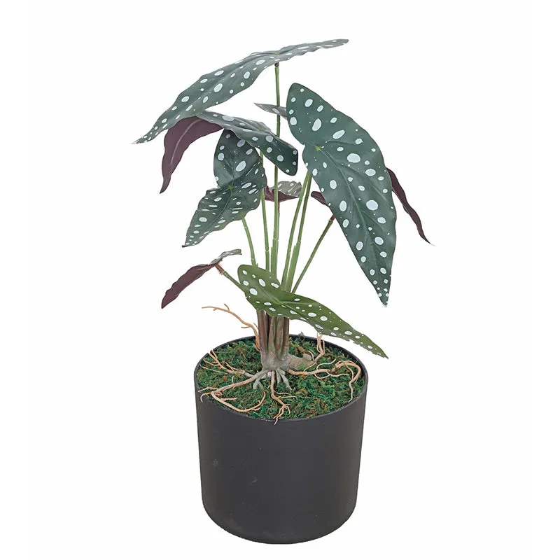 Botanic Bliss Artificial Plant With Black Plastic Pot media 3