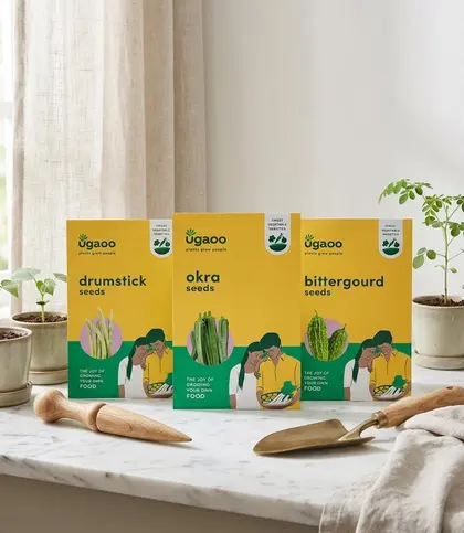 Seeds