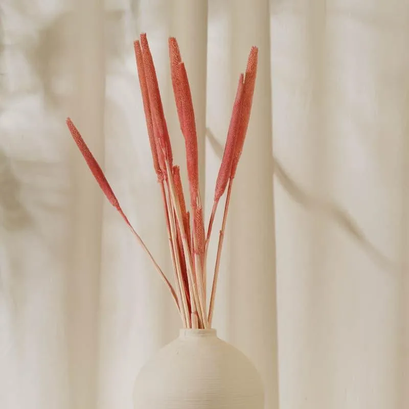 Dried Bajra Stems (2.46 ft) - Pink media 1