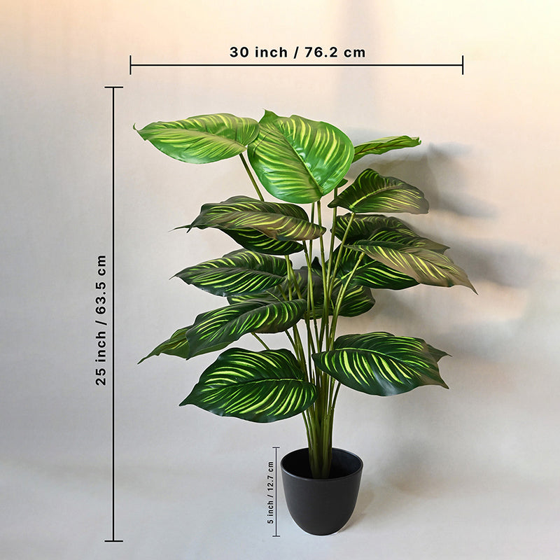 Faux Everlasting Alocasia Plant With Black Plastic Pot - 74 cm (2.4 ft) media 7