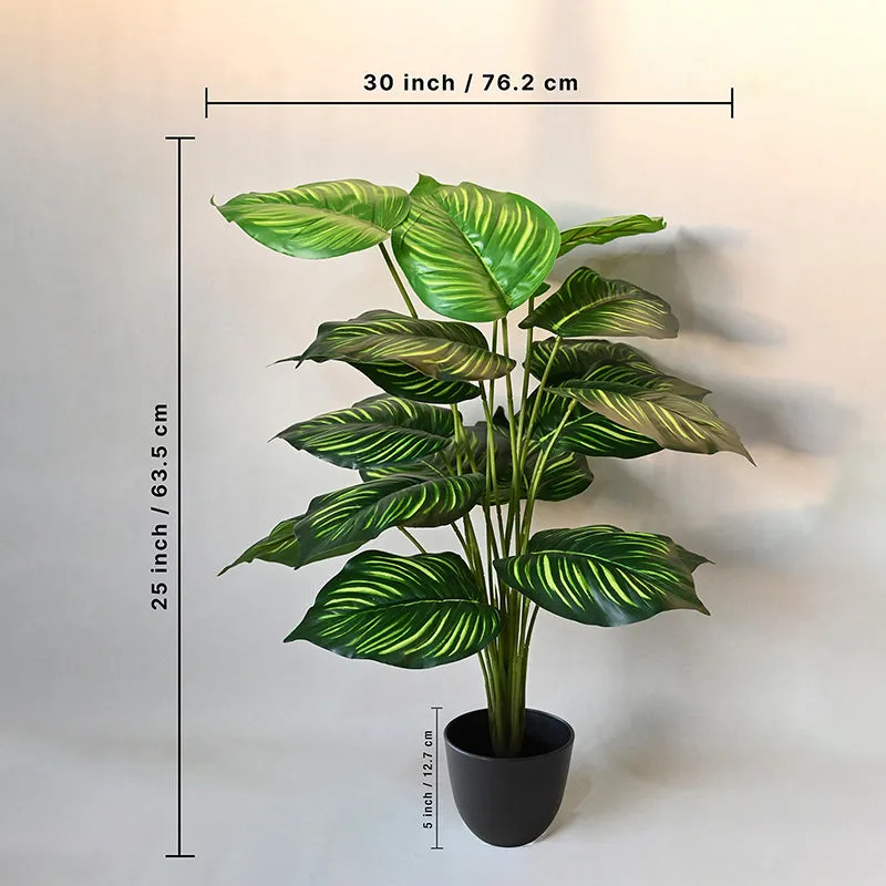 Faux Everlasting Alocasia Plant With Black Plastic Pot - 74 cm (2.4 ft) media 7