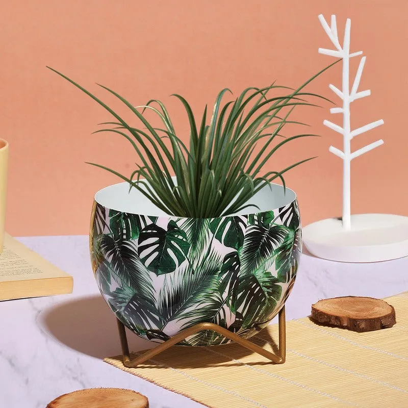 Terra Bloom Metal Planter with Stand - Green,White media 3