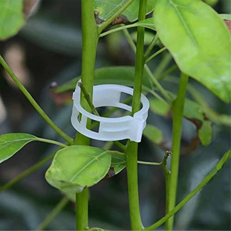 Plant Pro Garden Clip (White) - Set Of Fifty media 12