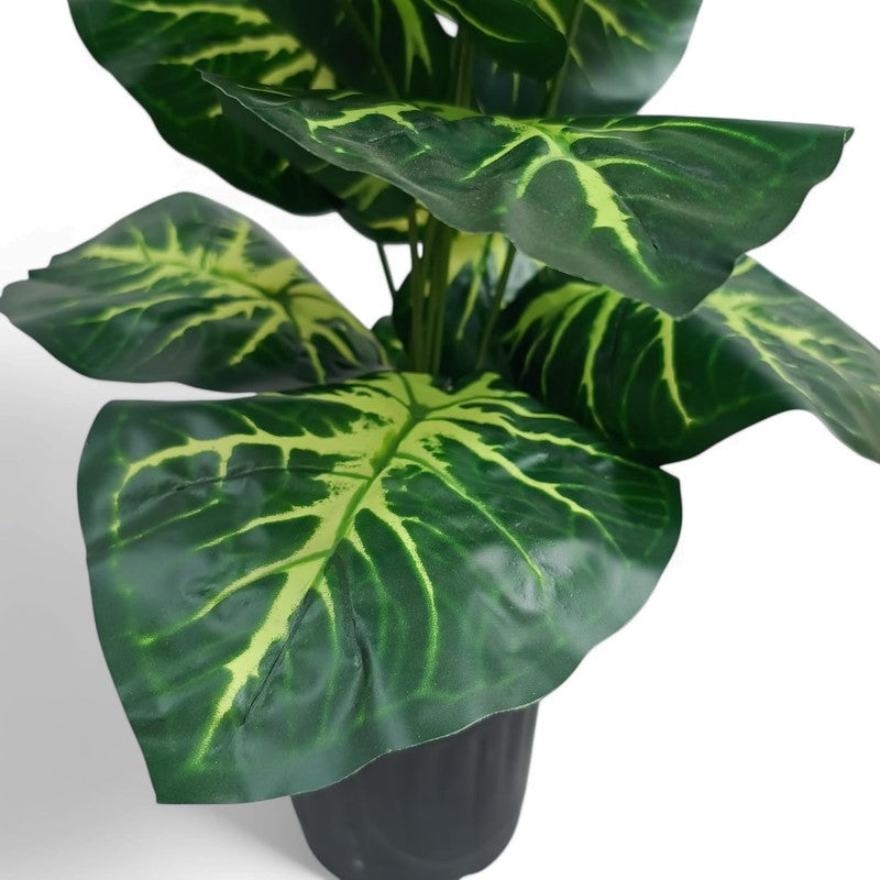 Rootella Artificial Alocasia Plant - 1.5 Feet media 4