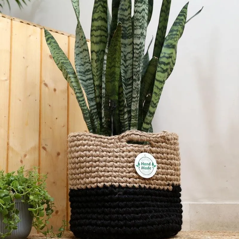 Serene Sanctuaries Jute Planter media 5