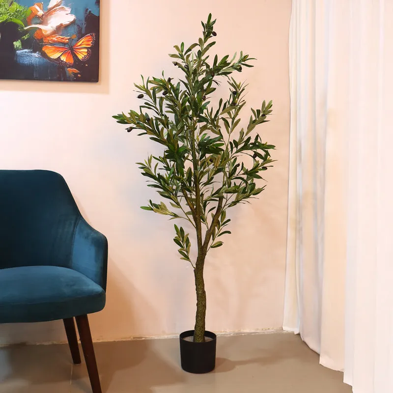 Verdiq Artificial Olive With Black Plastic Pot - 5 Feet media 3