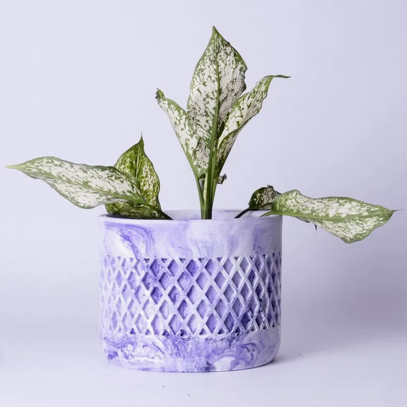 Diemona Planter - Purple media 5