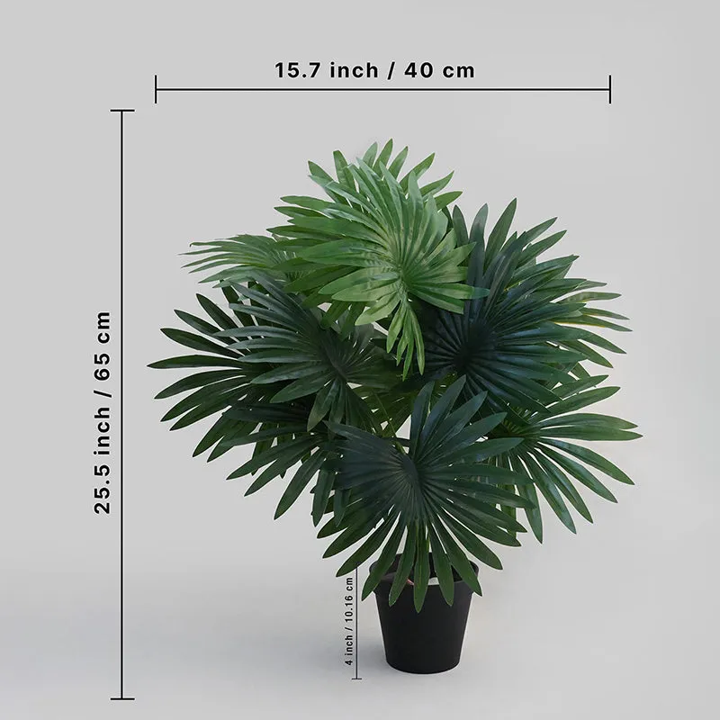 Faux Everlasting Fan Palm With Black Plastic Pot - 58 cm media 9