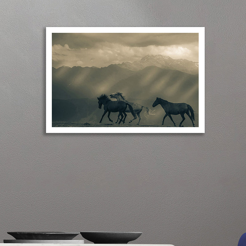 White Frame