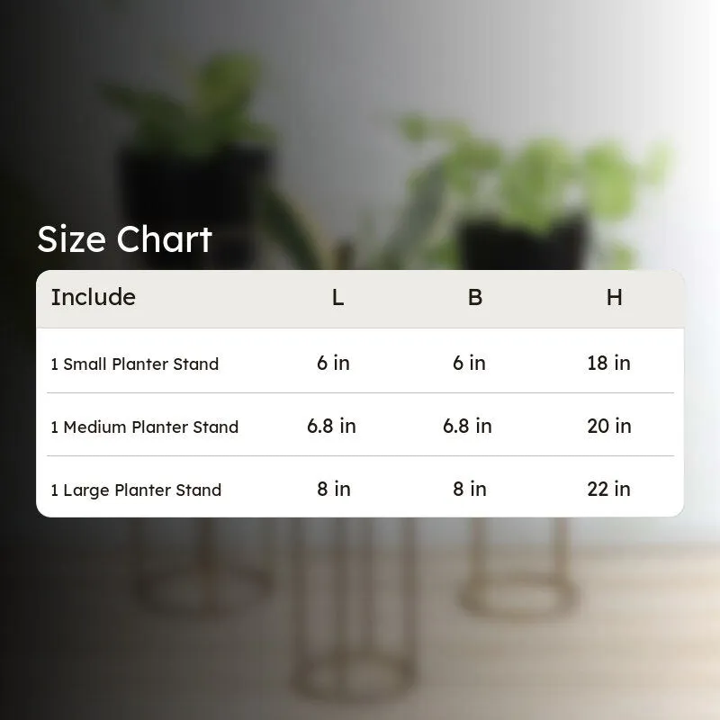 PlantePerch Planter With Stand - Set Of Three media 8