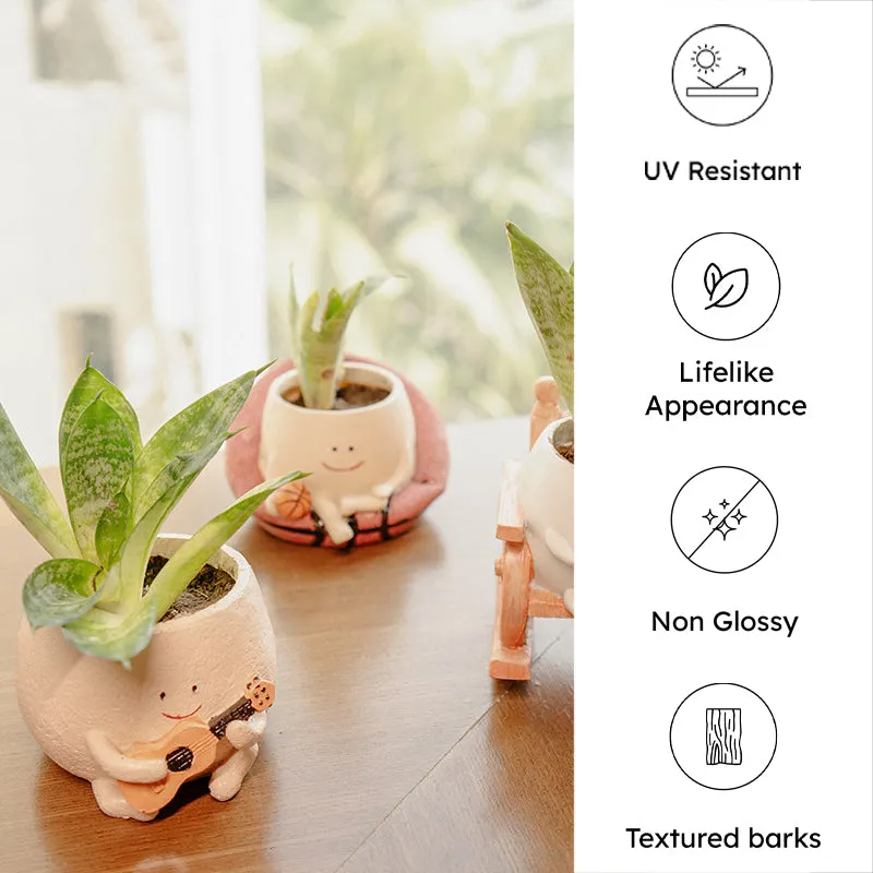 Plant Buddies Resin Planter - Set Of Three media 6
