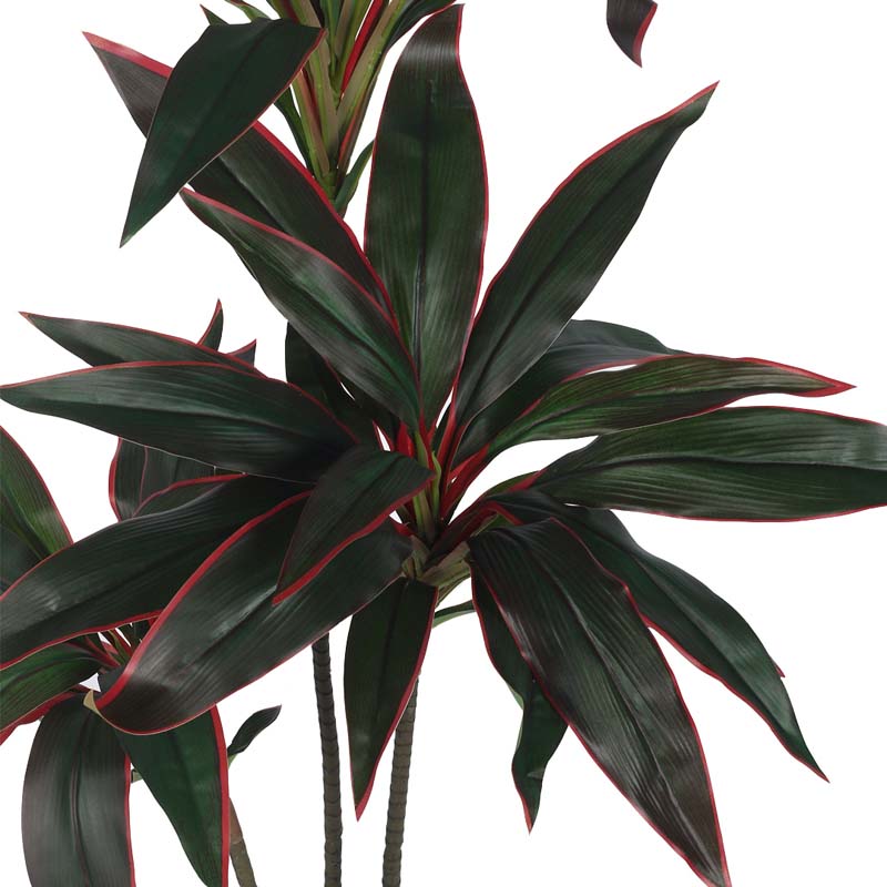 Faux Lush Dracaena Reflexa Plant With Black Plastic Pot - 3.1 Feet media 4