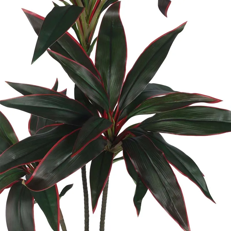 Faux Lush Dracaena Reflexa Plant With Black Plastic Pot - 3.1 Feet media 4
