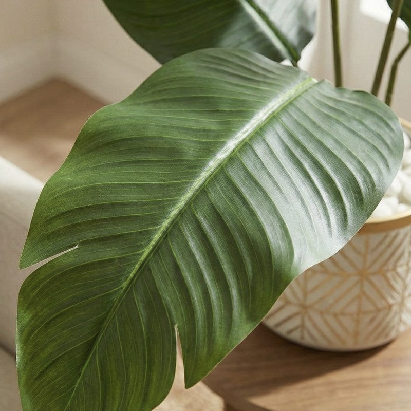 Tropiva Banana Leaf Palm Plant With Black Plastic Pot - 2.6 ft media 6