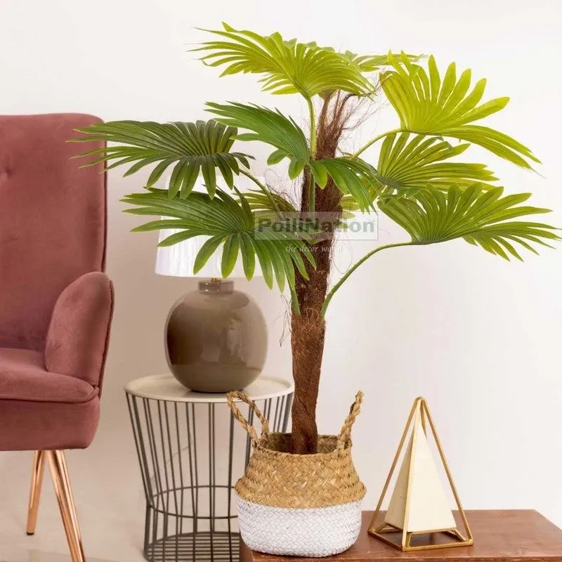 Artificial Raffix Palm Plant Without Pot - 3 Feet media 1
