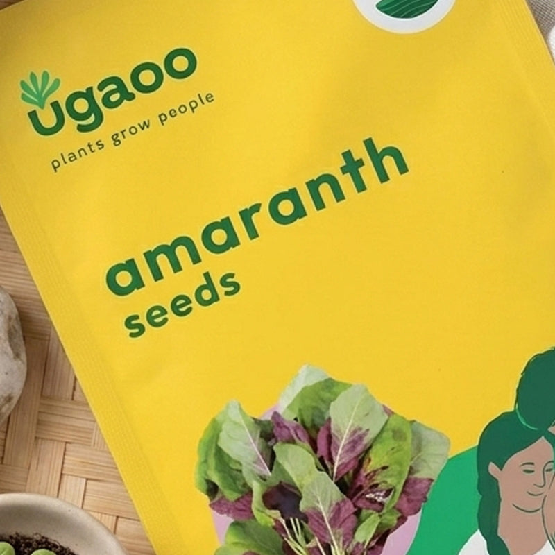 Ugaoo Amaranth Seeds (Chawli Bhaji) media 3
