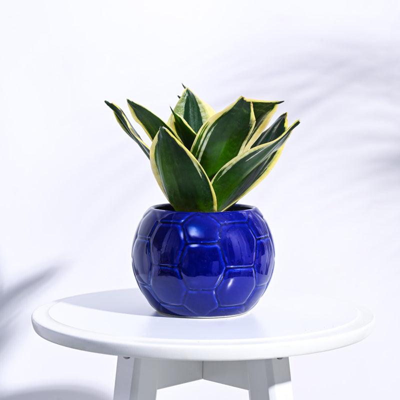 Ugaoo Football Blue Ceramic Pot media 3