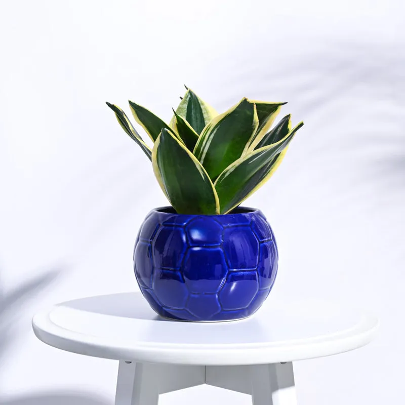 Ugaoo Football Blue Ceramic Pot media 3