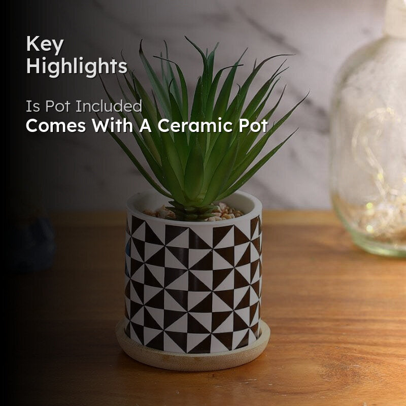 Faux Agave In Patterned Pot - 17.5 cms media 2