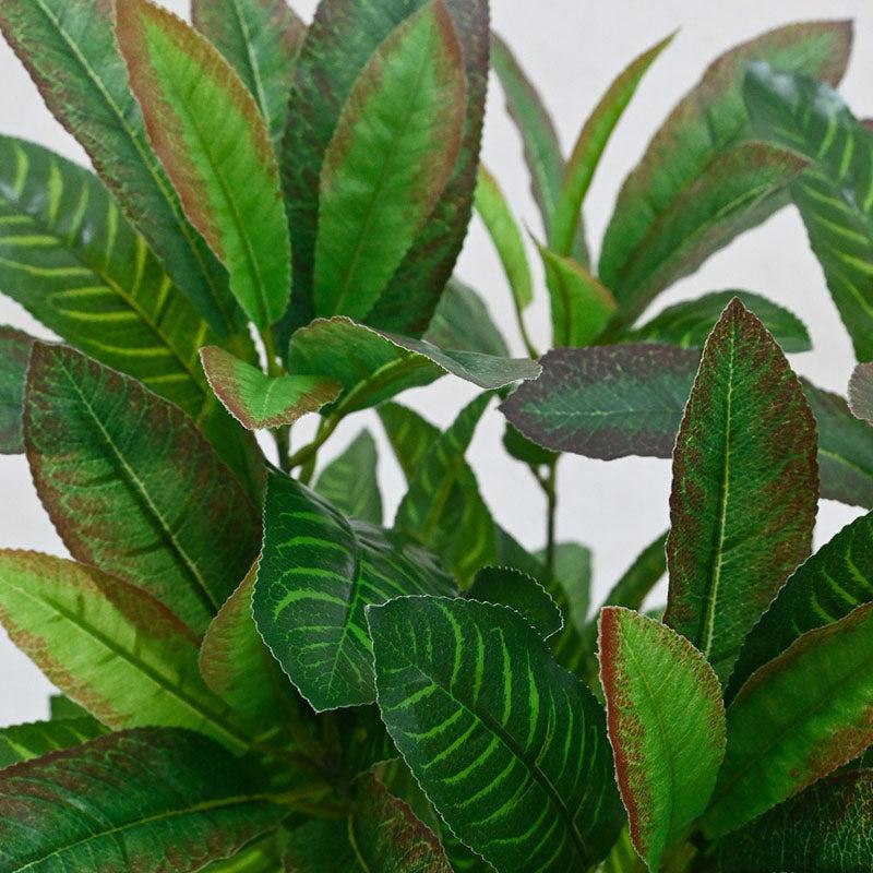 Faux Everlasting Croton Plant With Black Plastic Pot - 51 cm media 4