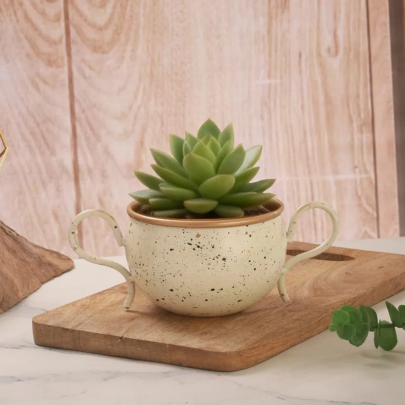 Aero Bloom Drift Planter media 4