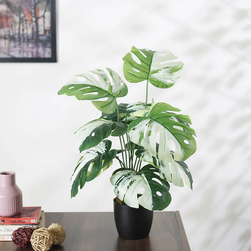 Faux White Monstera Silk Plant With Black Plastic Pot - 55 cms media 2