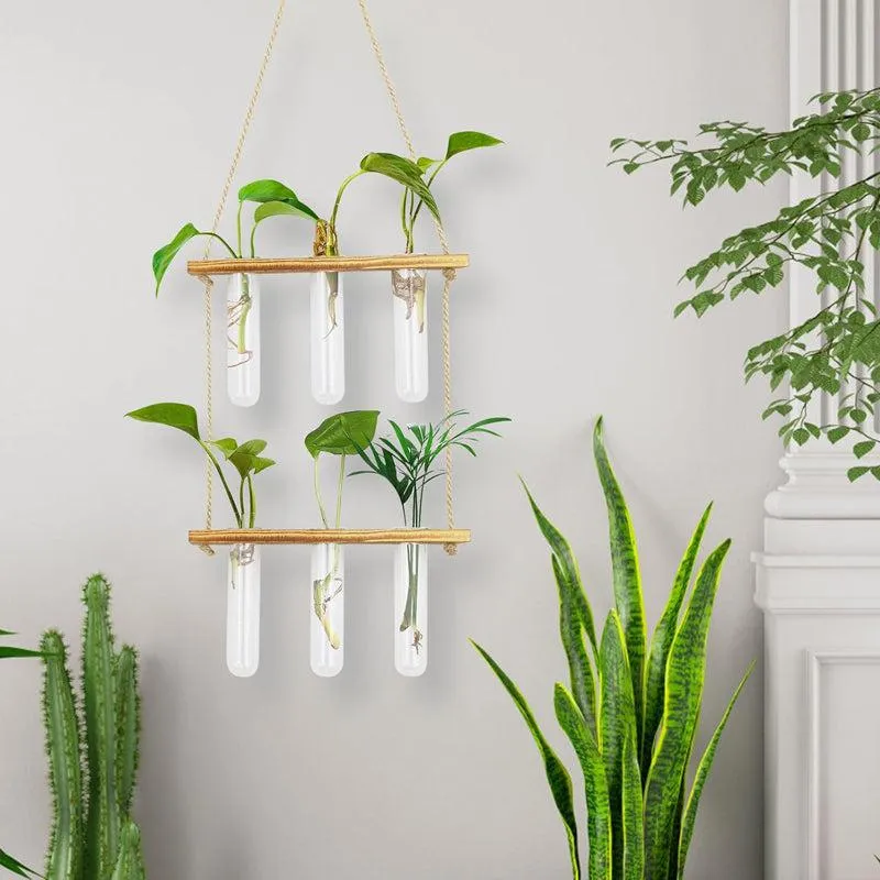 Aysel Hanging Test Tube Planter media 4