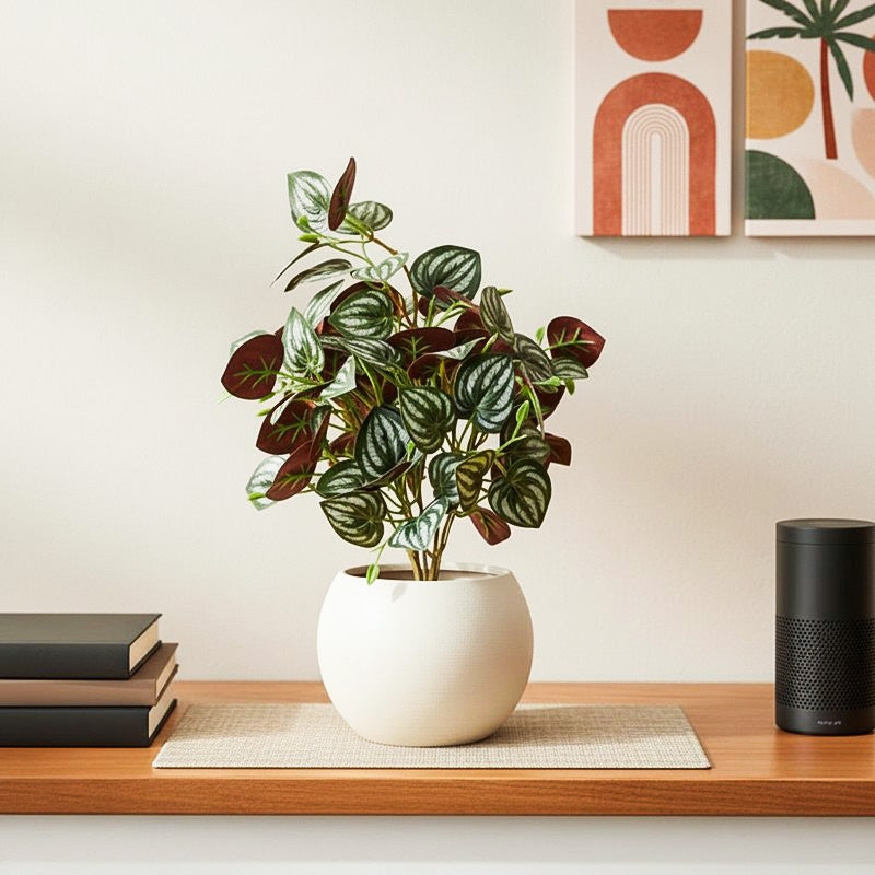 Artificial Red Peperomia Leaf Plant With Black Fiber Pot - 1 Feet