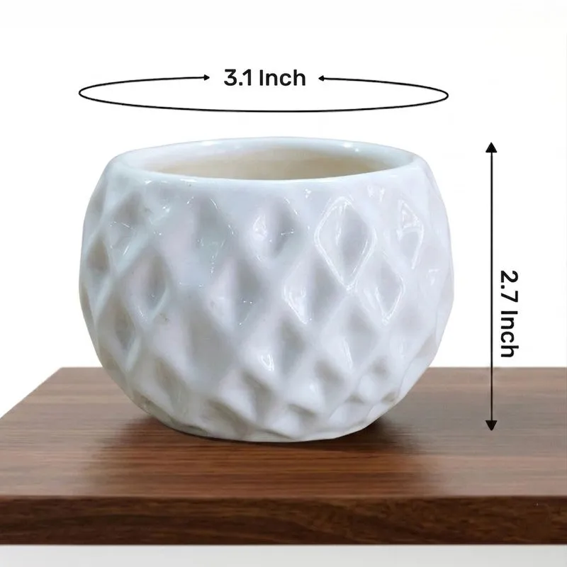 Moonstone Textured Ceramic Planter - Set of Two media 4
