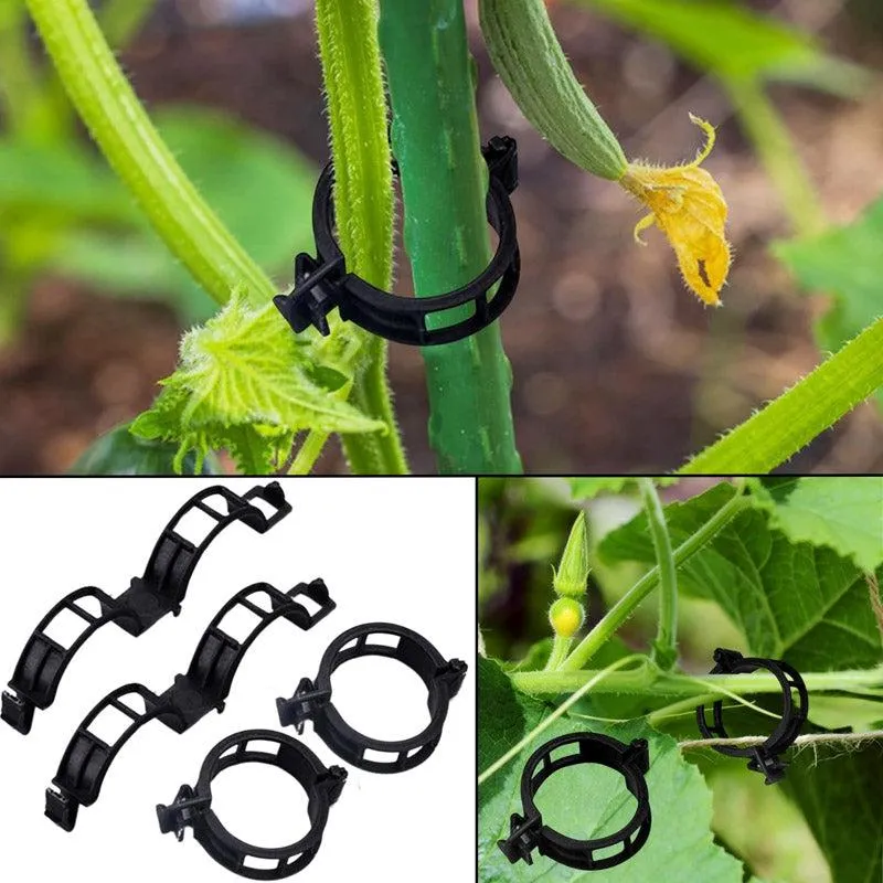 Plant Pro Garden Clip (Black) - Set Of Hundred media 8