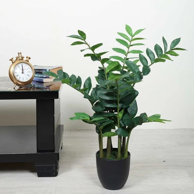 Artificial Emerald Palm Plant With Black Fiber Pot - 2.5 Feet media 3