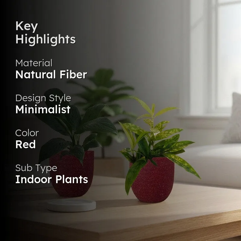 Greenkin Bamboo & Lily Live Plants (Red) - Set Of Two media 2
