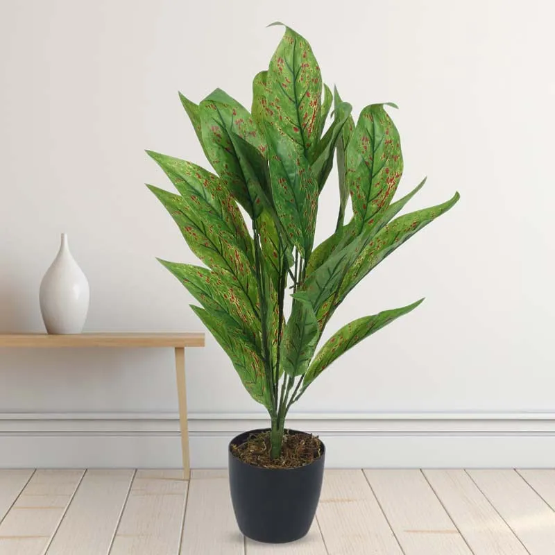 Faux Lush Dieffenbachia Plant With Black Plastic Pot - 2.3 Feet media 3