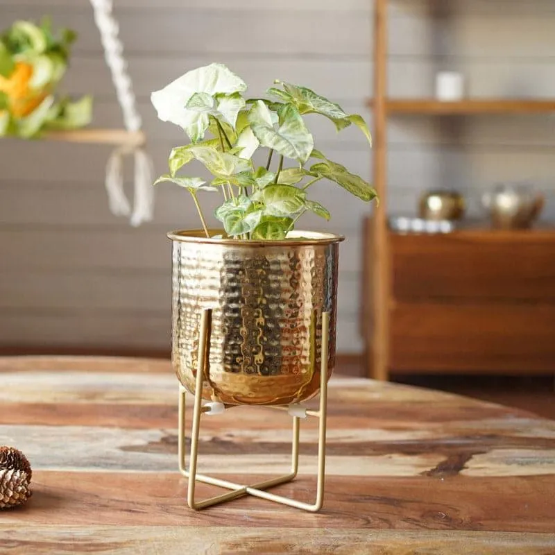 Baela Metal Planter - Small media 3