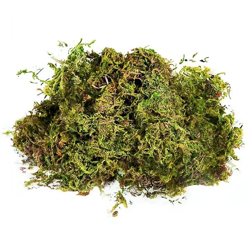Realistic Artificial Soft Moss - Light Green media 6
