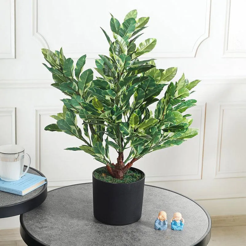 Green Envy Artificial Plant With Black Plastic Pot media 3