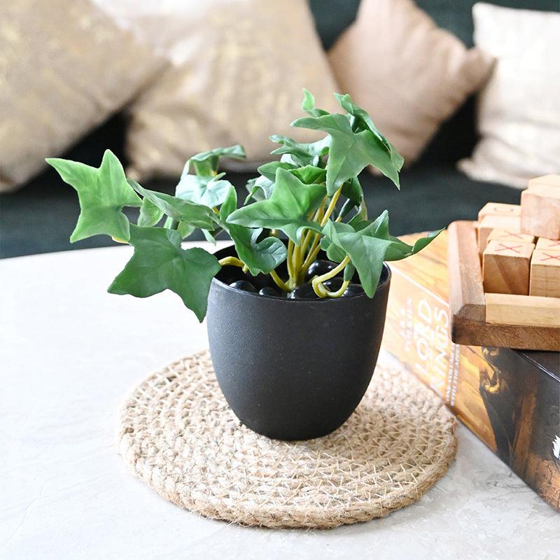 Ivella Artificial Mini Ivy Plant With Black Plastic Pot (Dark Green) - 14 cm media 6
