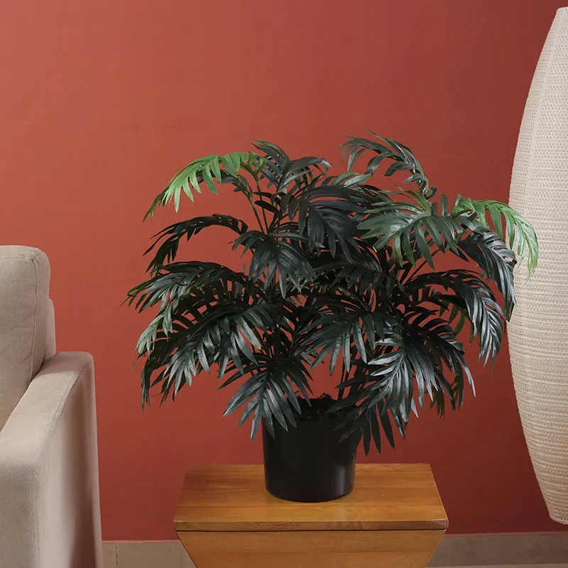 Faux Golden Cane Areca Palm Plant With Black Plastic Pot - 2.46 ft media 3