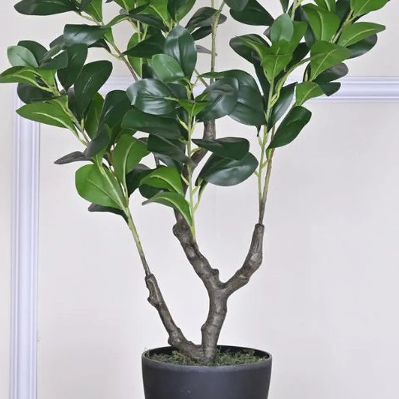 Artificial Peperomia Plant Without Pot - 3 Feet media 4