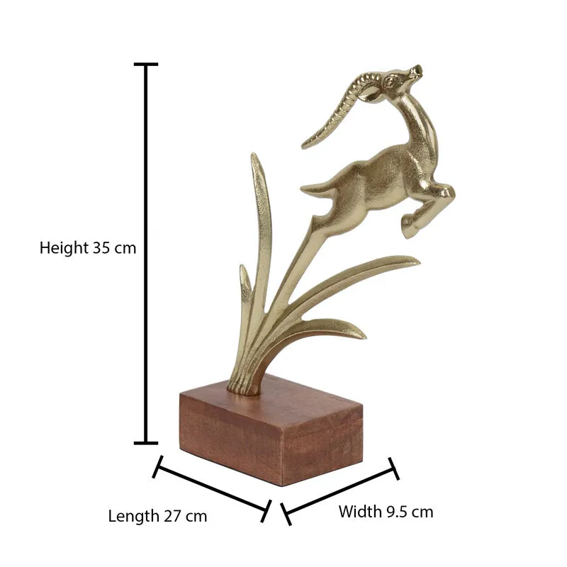 Stag Cilio Showpiece media 7