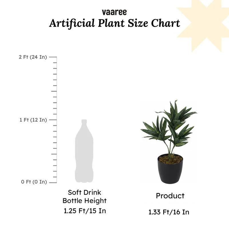 Faux Lush Dracaena Reflexa Plant With Black Plastic Pot (Dark Green) - 1.3 Feet media 6
