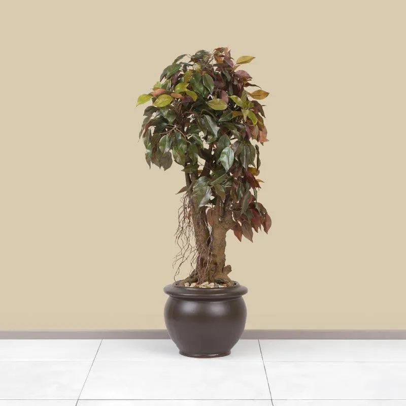 Faux Twisted Ficus Bonsai (2.03 ft) - Green & Red media 1