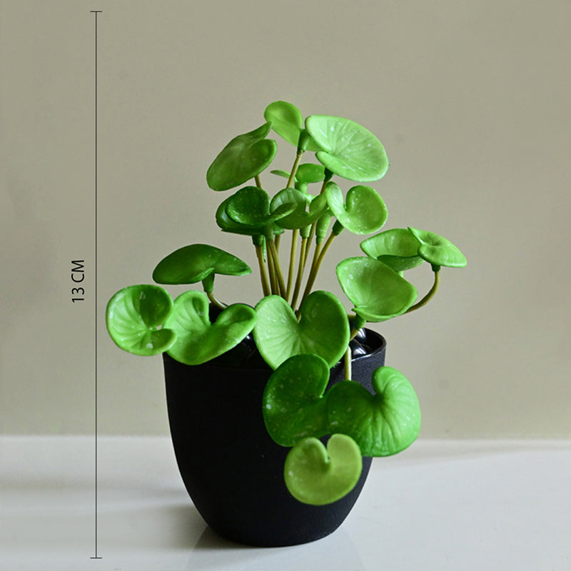 Pennelle Artificial Leaf Pennywort With Black Plastic Pot (Light Green) - 13 cm media 7