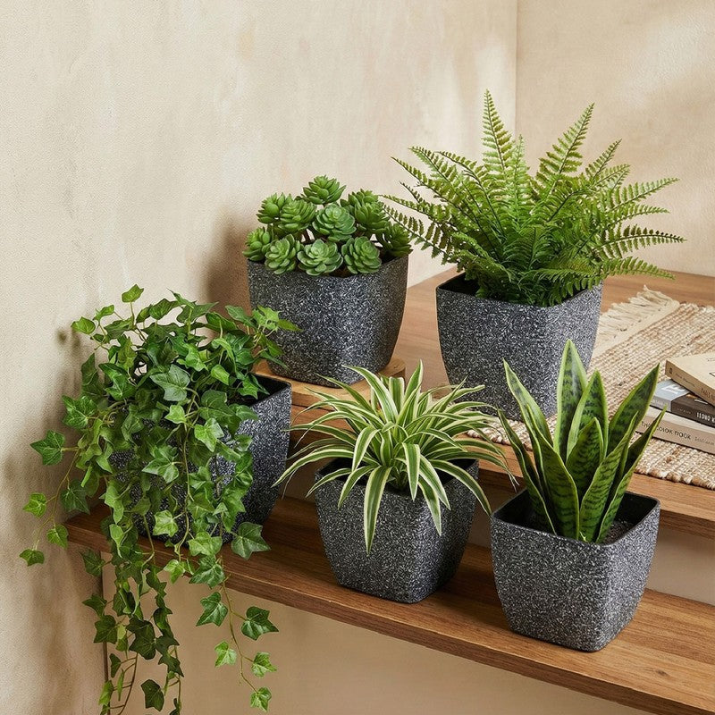 Monvia Garden Planter - Set Of Five media 4