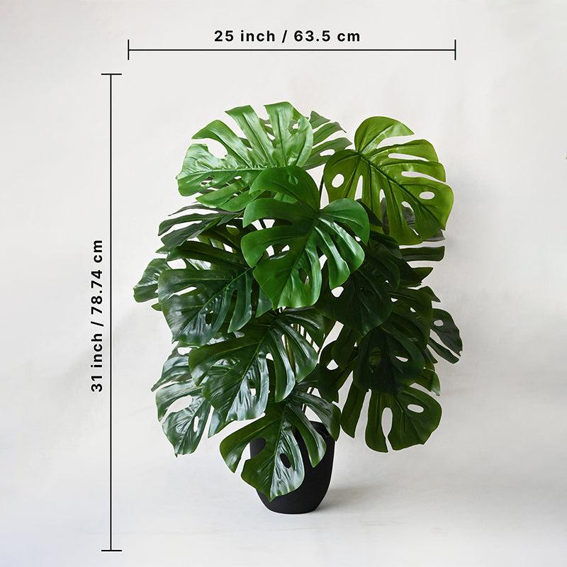 Faux Everlasting Monstera Plant With Black Plastic Pot - 79 cm (2.6 ft) media 4