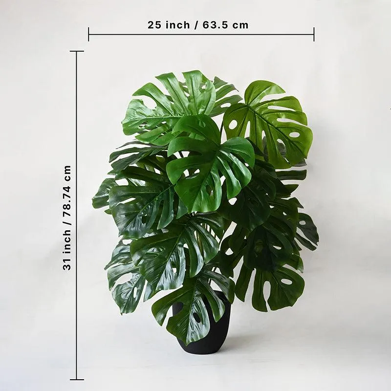 Faux Everlasting Monstera Plant With Black Plastic Pot - 79 cm (2.6 ft) media 4