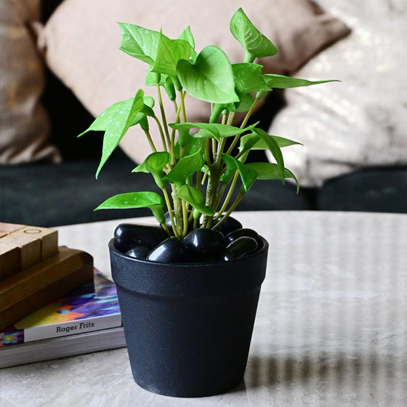 Moniva Artificial Pothos/Money Plant With Black Plastic Pot (Light Green) - 19 cm media 3