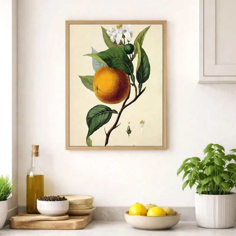 Tropical Zest Archival Canvas Wall Art - Brown media 4